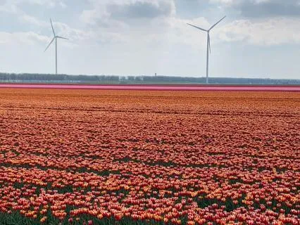 Connect To Nature | A Grounding Earth Day Meditation