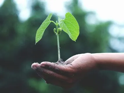 Connect To Relax: Breath, Body, And Mind