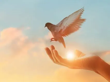 Connect To Self And Divine Consciousness