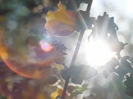 Connect To Source Energy Meditation