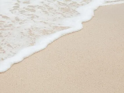 Connect To The Here And Now