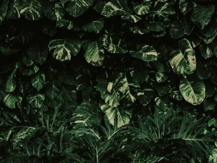 Connect To The Loving Leader Within