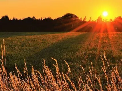 Connect To The Power Of The Present Moment