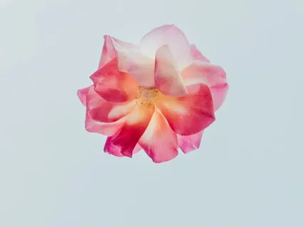 Connect To The Present Moment