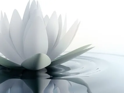 Connect To The Womb Meditation