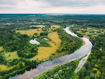 Connect To Your Ancestors - Yoga Nidra