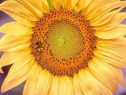 Connect To Your Authentic Power