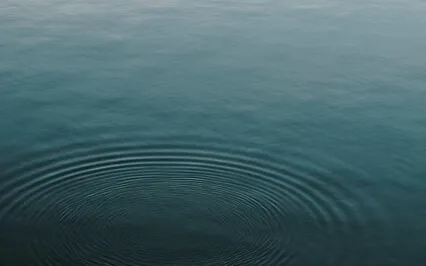 Connect To Your Calm, Creative, Confident And Wise Self