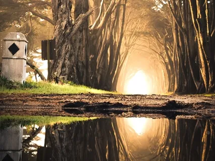 Connect To Your Core 