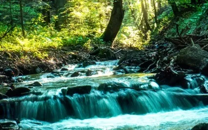 Connect To Your Emotions With Vocal Toning