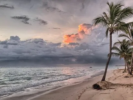 Connect To Your Emotions