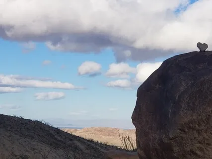 Connect To Your Essence 