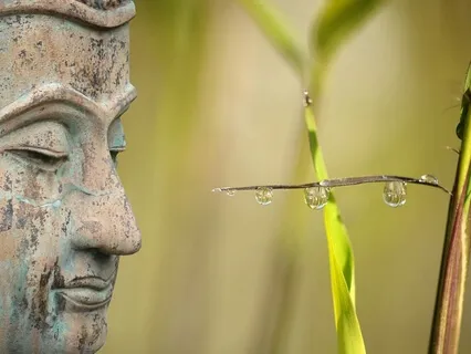 Connect To Your Flow - Connect To Water