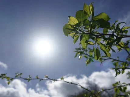 Connect To Your Guardian Angel