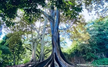 Connect To Your Guides & Angels Guided Meditation