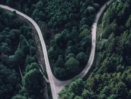 Connect To Your Heart For Decision Making Insights