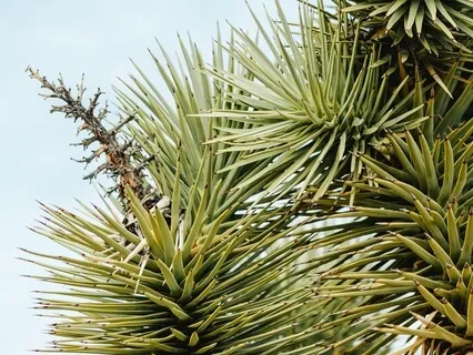 Connect To Your Heart & Realign With Your Worth (Live Piano)