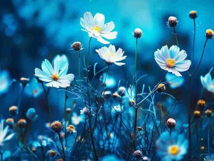 Connect To Your Heart Space