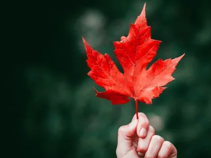 Connect To Your Higher Consciousness