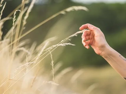 Connect To Your Higher Self