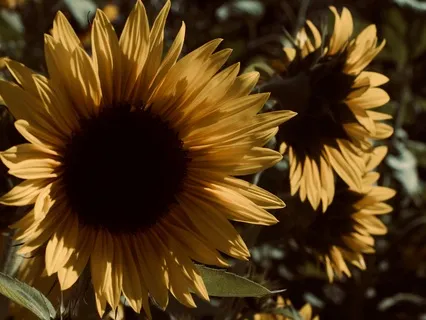 Connect To Your Higher Self | Divine Feminine