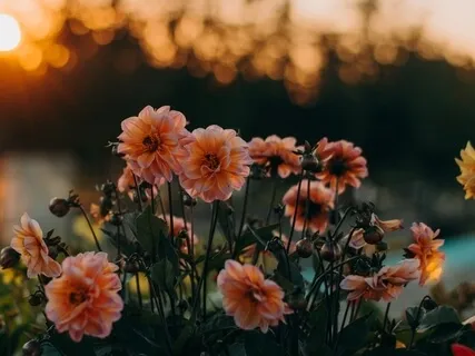 Connect To Your Inner Child