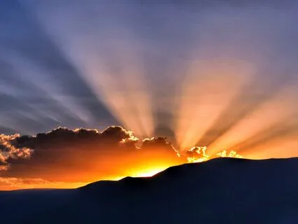 Connect To Your Inner Compassionate Wise Witness