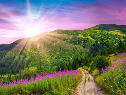 Connect To Your Inner Guide - Day 29