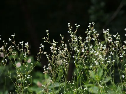 Connect To Your Inner Nature