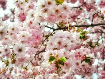 Connect To Your Inner Voice