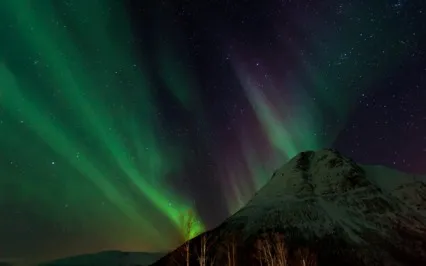 Connect To Your Inner Wisdom: Green Light Nourishment