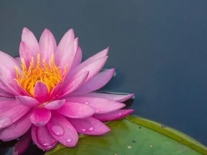 Connect To Your Internal Guidance System