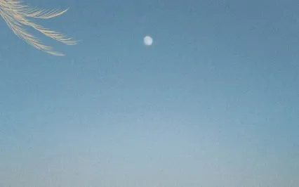 Connect To Your Intuition