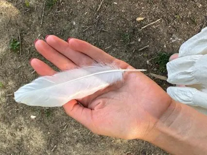 Connect To Your Light And The Divine