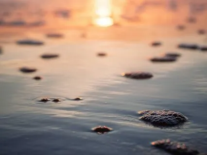 Connect To Your Rhythm & Sensations Meditation