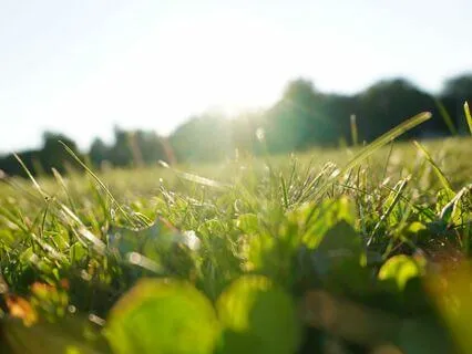 Connect To Your Soul Self And Increase Your Power