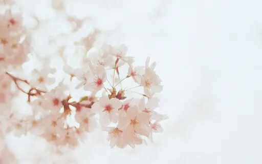 Connect to Your Soul's Space & Feel Your Immensity & Truth