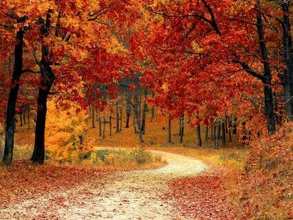 Connect To Your Spirit Family: Music For Meditation|Healing