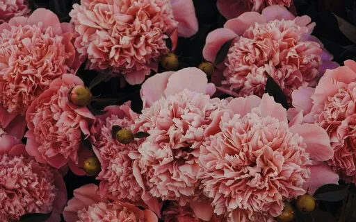 Connect To Your True Voice