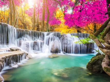 Connect To Your Vision