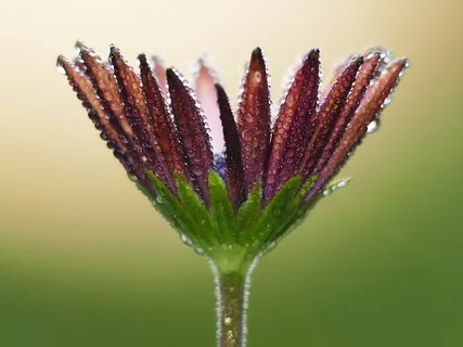 Connect To Your Womb Space