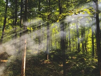 Connect To Yourself Through The Breath