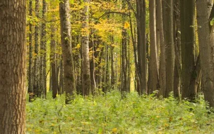 Connect With All Aspects Of Yourself (For Females) 