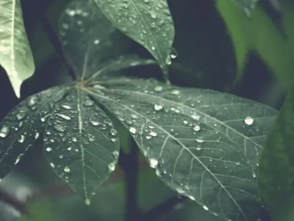 Connect With Archangel Gabriel & Receive His Wisdom