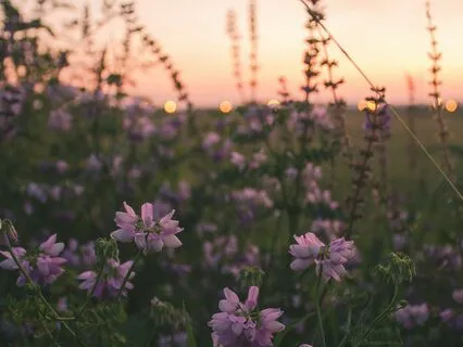 Connect with Compassion To Yourself and the Present Moment