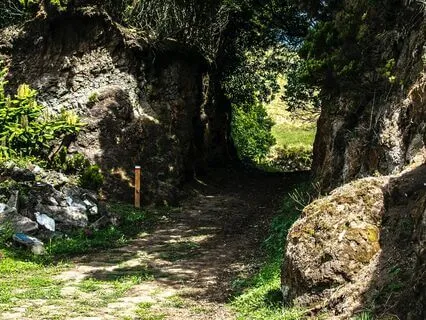 Connect with Divine Light Family