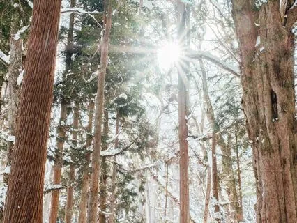 Connect With Higher Realm Meditation