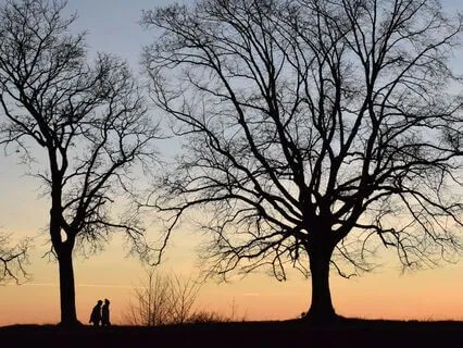 Connect With Mother Earth