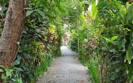 Connect With Nature - Blissful 6-Minute Meditation