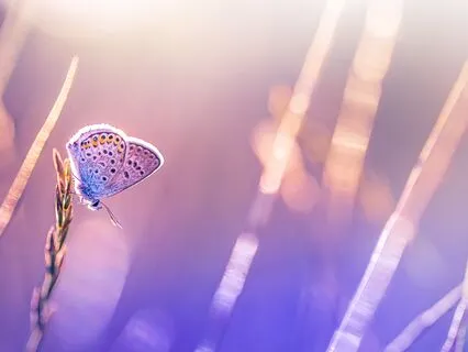 Connect With Source Energy & Activate 3rd Eye